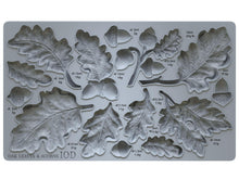 Load image into Gallery viewer, IOD Oak Leaves and Acorns Mould
