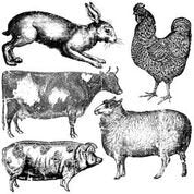 Load image into Gallery viewer, IOD Farm Animals Stamp 12 X 12
