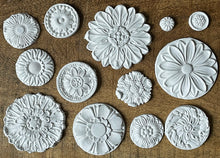 Load image into Gallery viewer, IOD Rosettes 6X10 Mould
