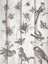 Load image into Gallery viewer, IOD Birds and Bee 12 X 12 Stamp
