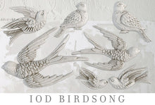 Load image into Gallery viewer, IOD Birdsong Mould
