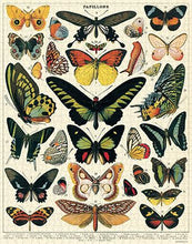 Load image into Gallery viewer, Cavallini &amp; Co. Butterflies Vintage 1000 Piece Puzzle
