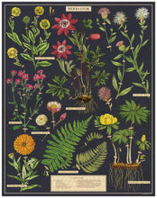 Load image into Gallery viewer, Cavallini &amp; Co. Herbarium 1000 Piece Puzzle
