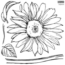 Load image into Gallery viewer, IOD Sunflowers Stamp - Iron Orchid Designs
